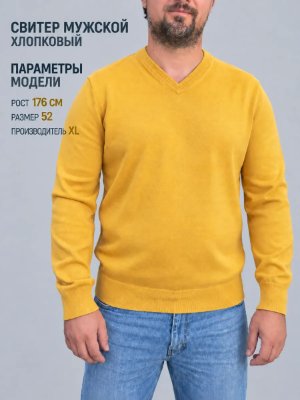 Джемпер мужской